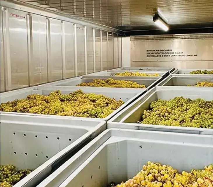 sector_wineries
